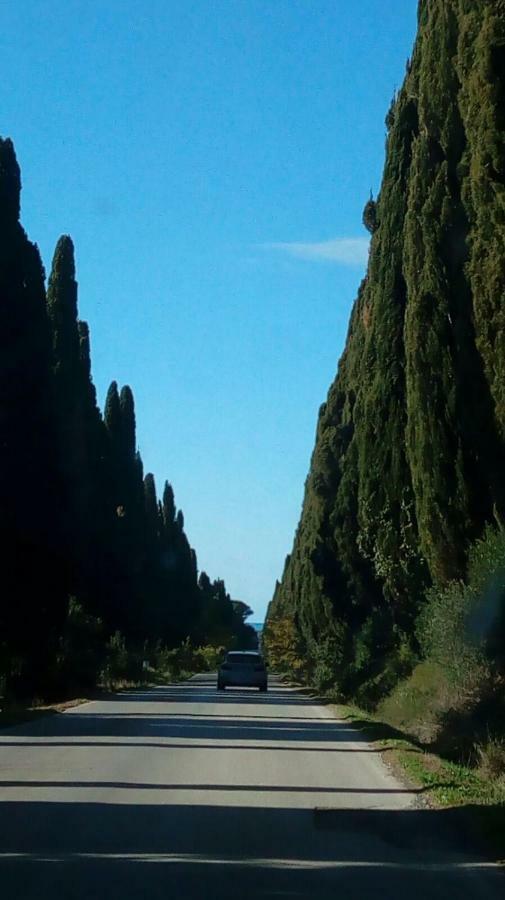 Torre Rossa Apartman Bolgheri Kültér fotó
