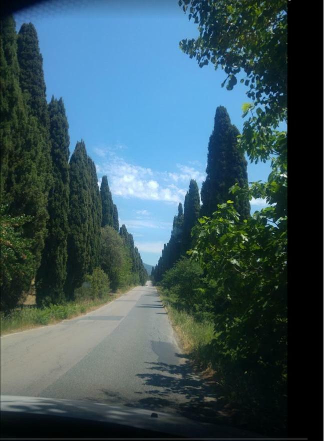 Torre Rossa Apartman Bolgheri Kültér fotó